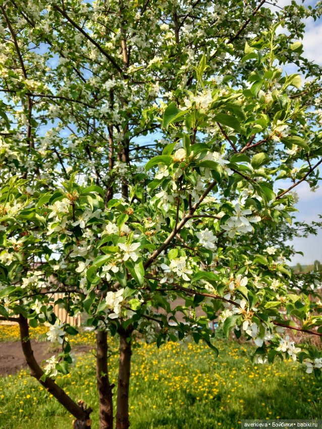 Микроша — Винтажные куклы ГДР (Немки): Бигги (фото 7)