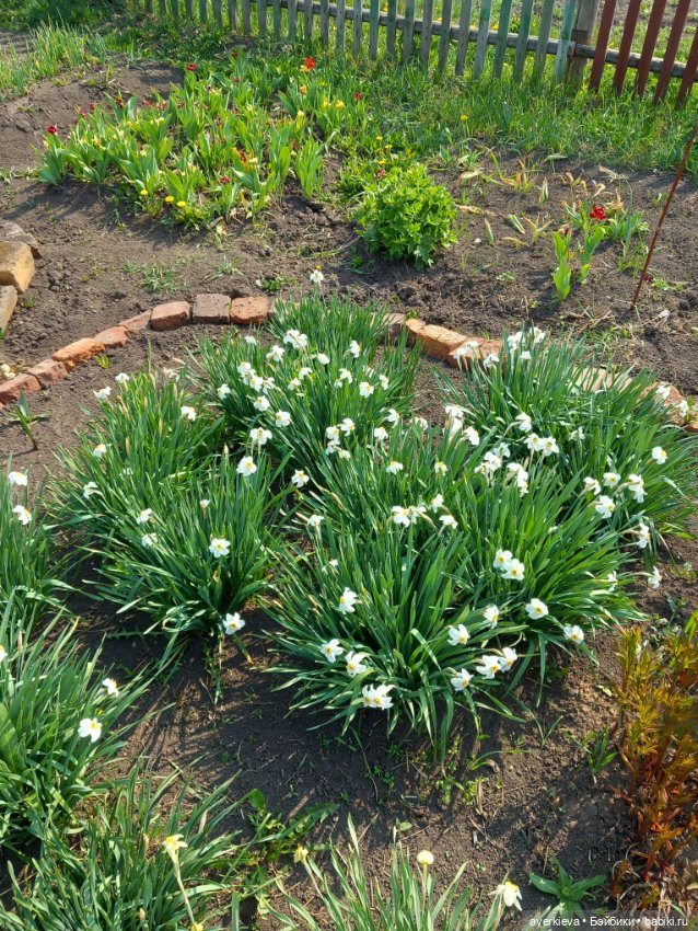 Микроша — Винтажные куклы ГДР (Немки): Бигги (фото 6)