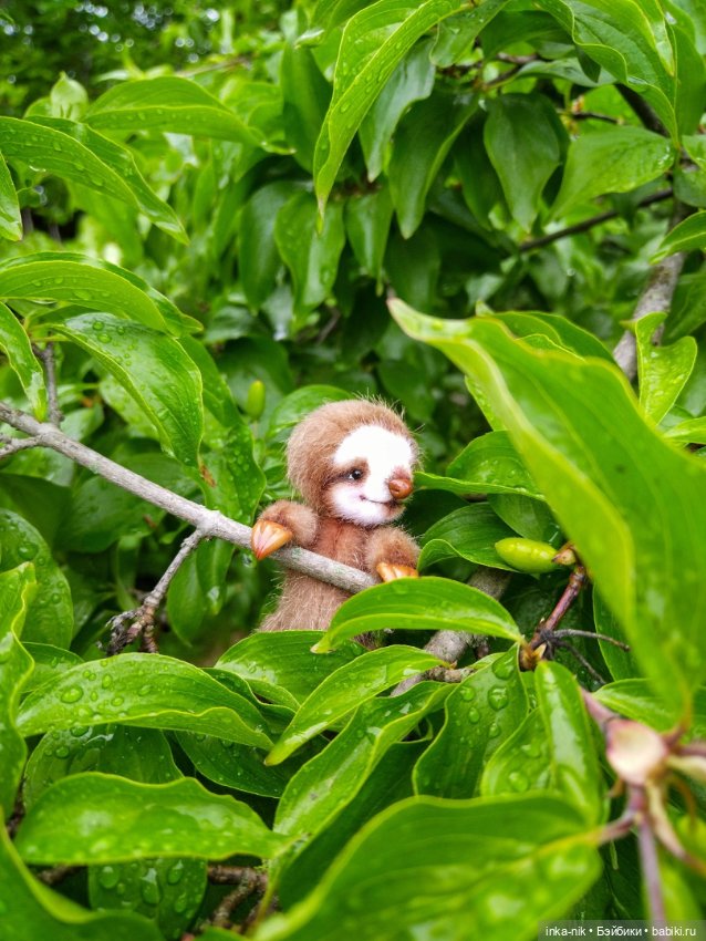 Пушистики — Авторские мишки Тедди и друзья: фото