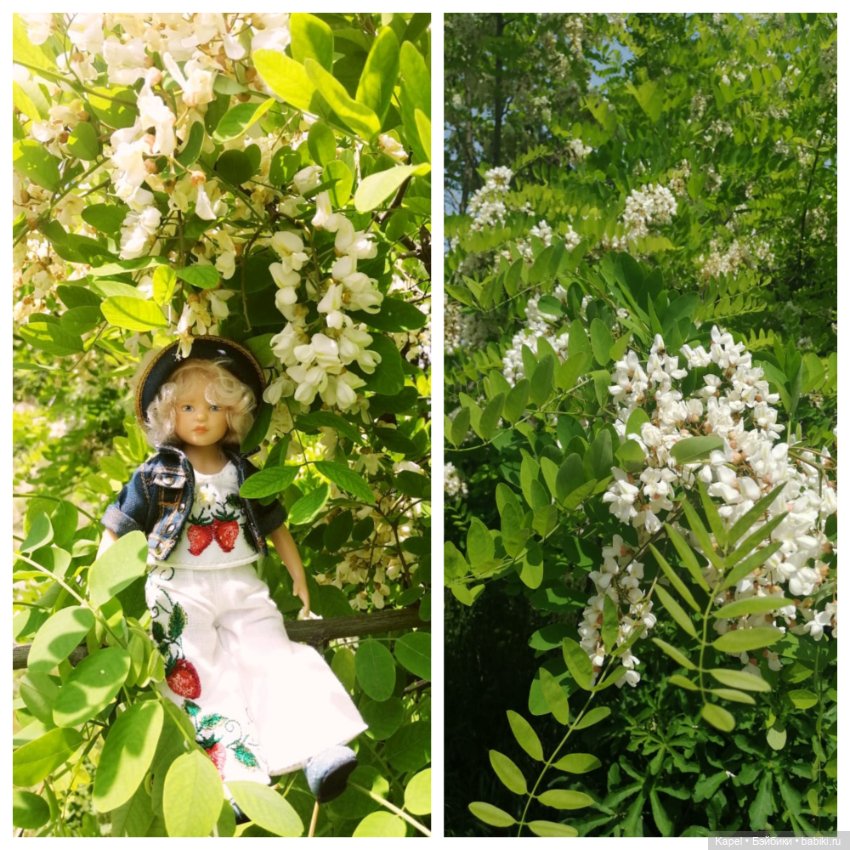 Новые наряды, новая поездка Patsi Heidi Plusczok (фото 5)