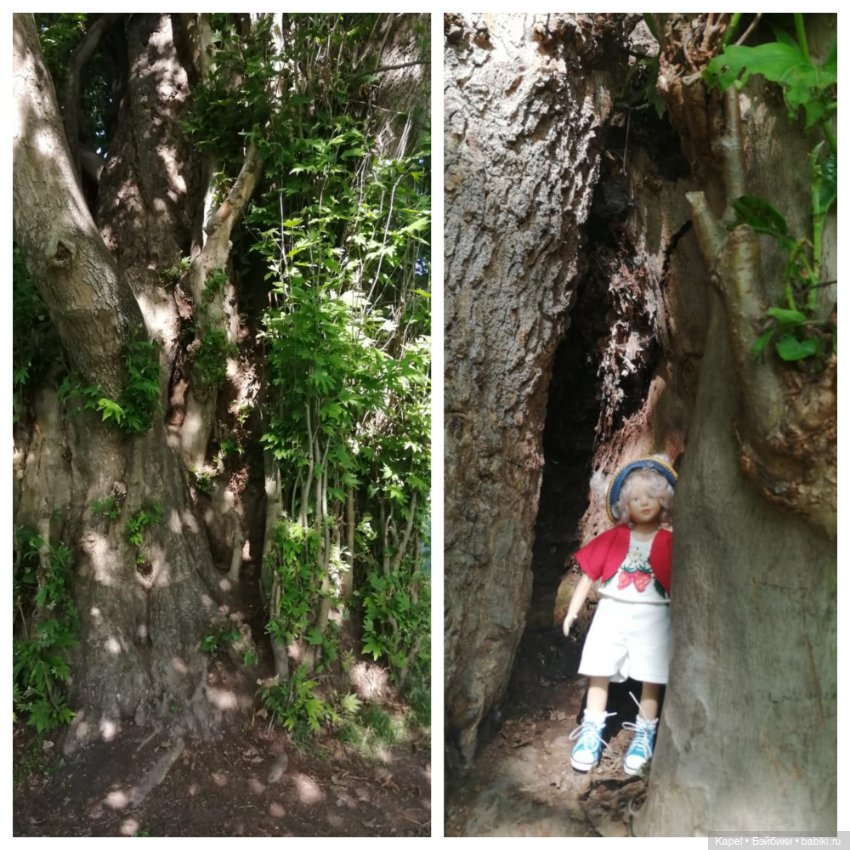 Новые наряды, новая поездка Patsi Heidi Plusczok