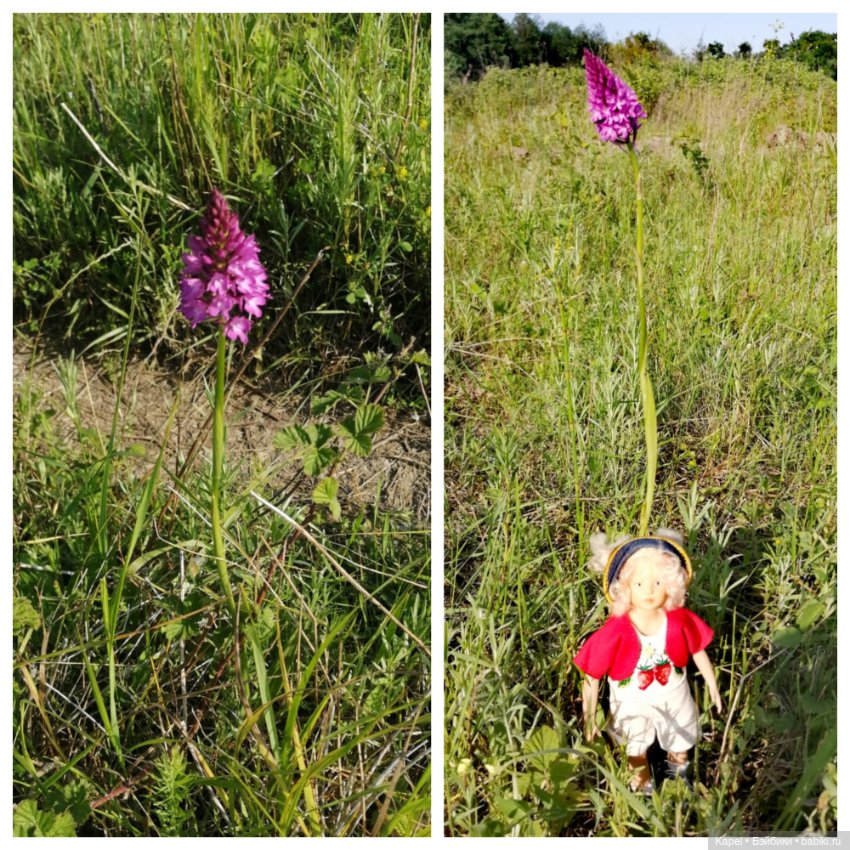 Новые наряды, новая поездка Patsi Heidi Plusczok