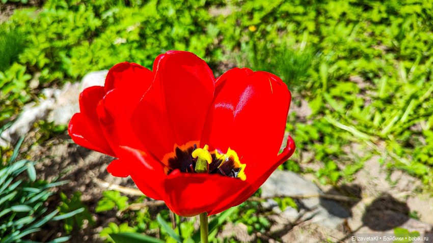 Любите жизнь — Фотоистории с куклами BJD (БЖД): сериалы (фото 4)