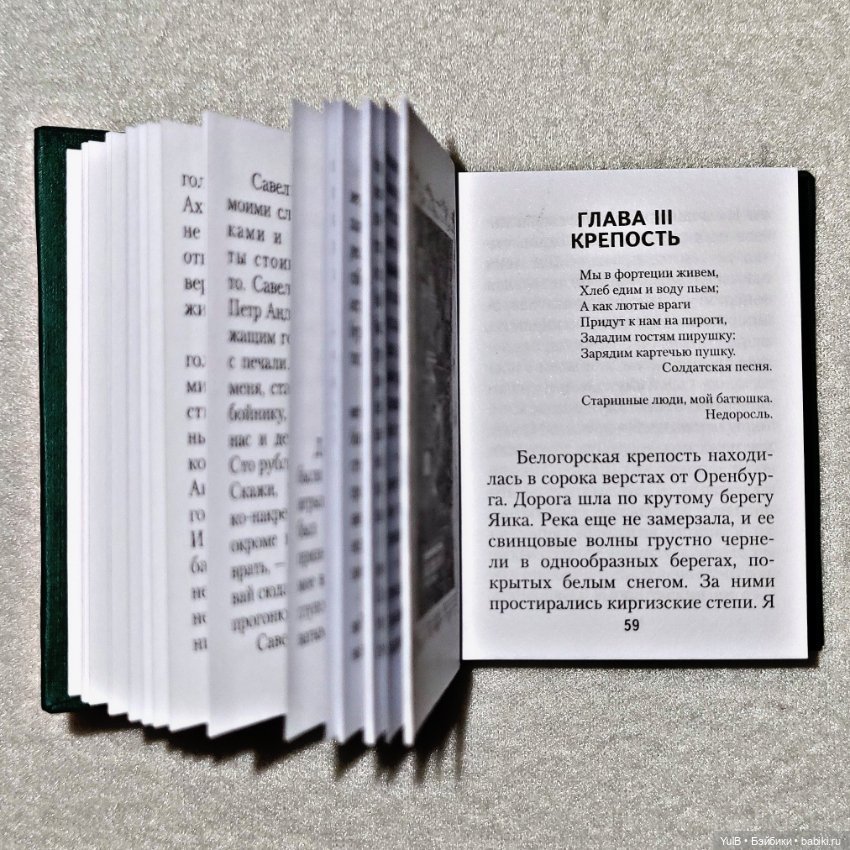 ...Ещё две миниатюрные книги (фото 6)