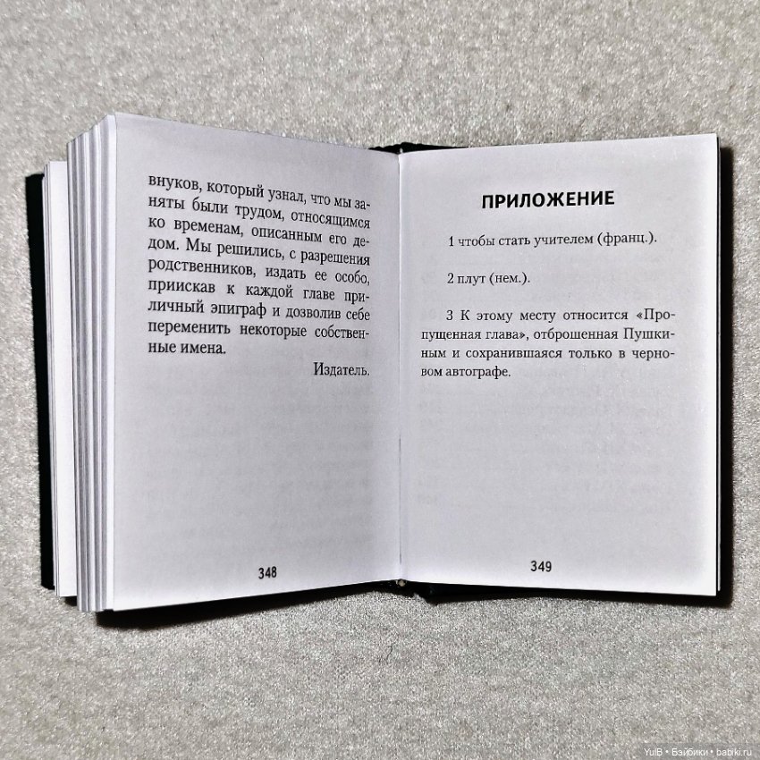 ...Ещё две миниатюрные книги (фото 9)