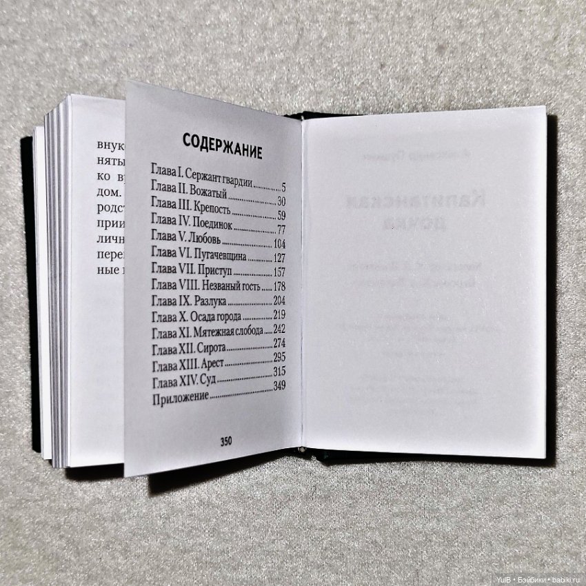 ...Ещё две миниатюрные книги (фото 10)