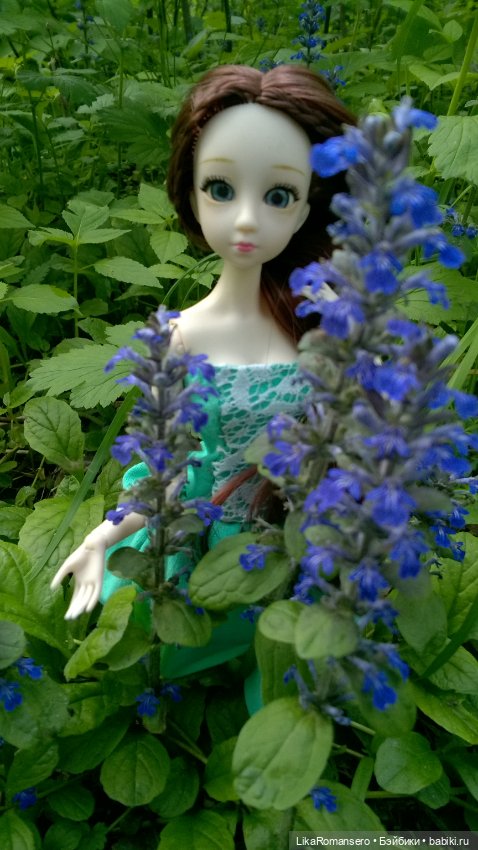 Пятничный отдых на природе