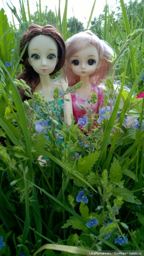 Пятничный отдых на природе