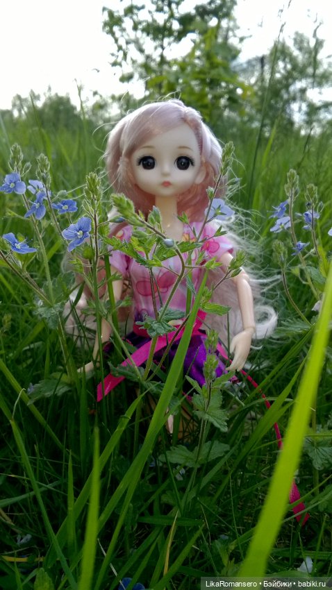 Пятничный отдых на природе (фото 3)