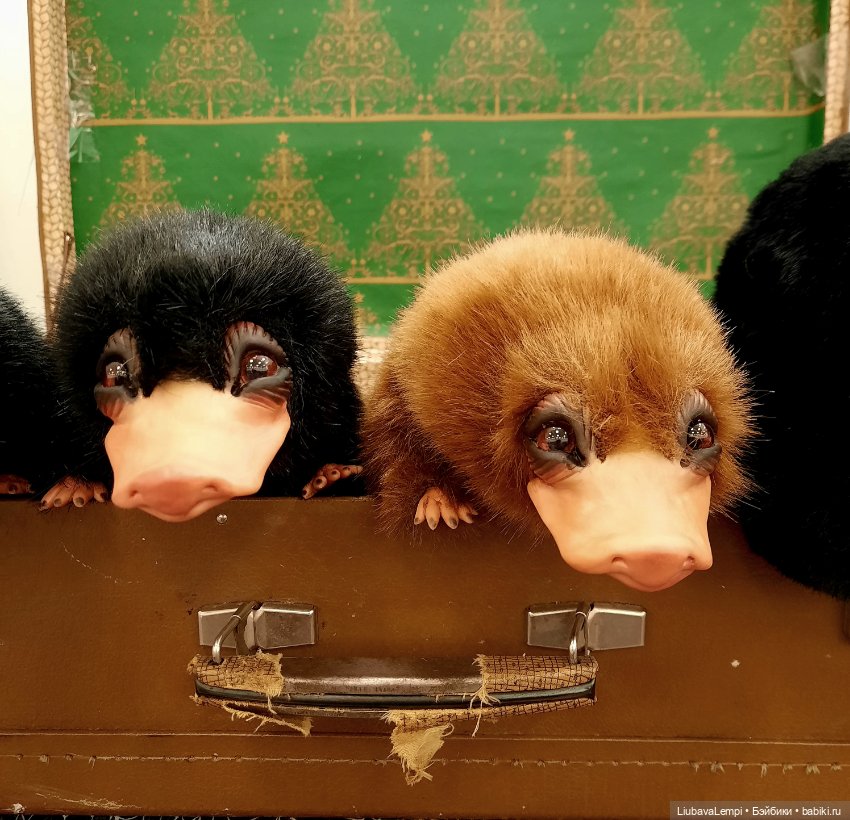 Отпускные прогулки или мы снова идём на выставку (фото 7)