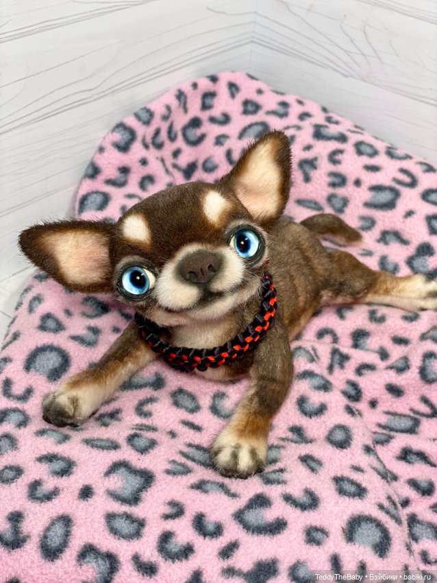 Сникерс 🐶 — Реалистичные игрушки и звери (Натюр): собаки