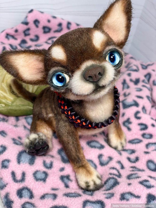 Сникерс 🐶 — Реалистичные игрушки и звери (Натюр): собаки (фото 8)