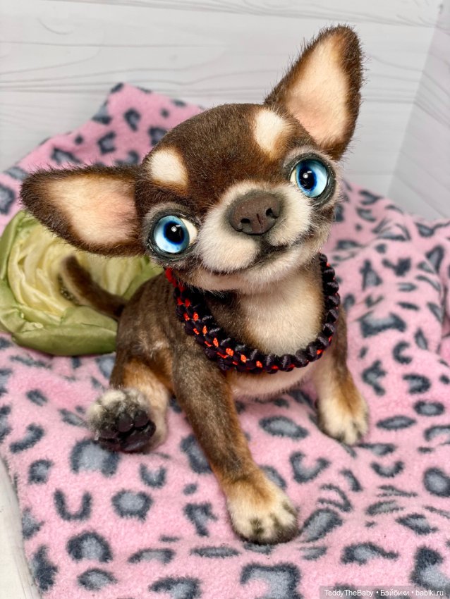 Сникерс 🐶 — Реалистичные игрушки и звери (Натюр): собаки (фото 6)