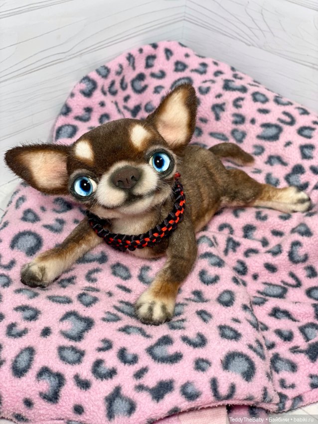 Сникерс 🐶 — Реалистичные игрушки и звери (Натюр): собаки