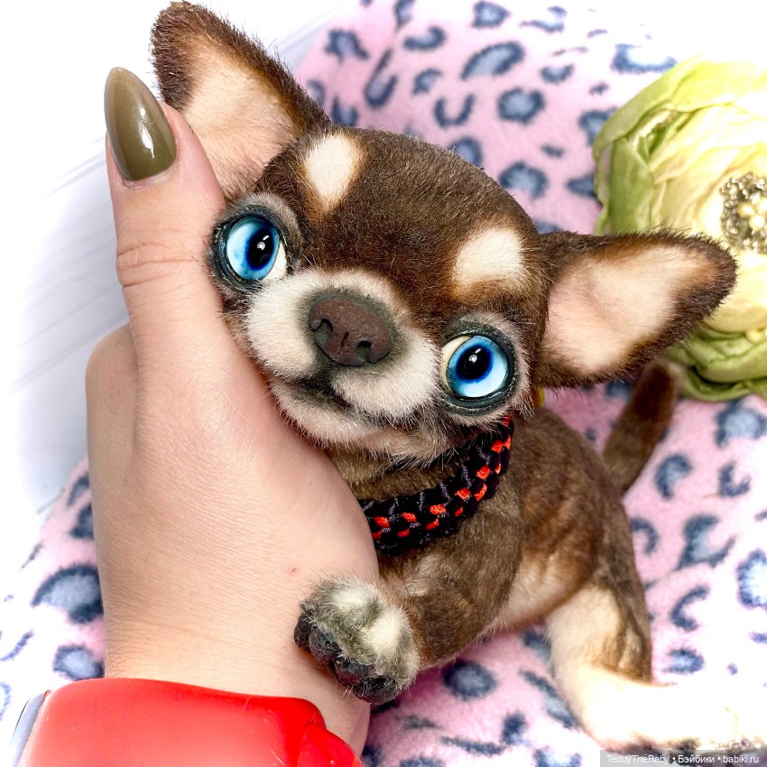 Сникерс 🐶 — Реалистичные игрушки и звери (Натюр): собаки (фото 2)