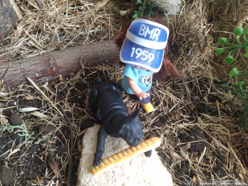 А мне любое море, море по колено, а мне любые горы по плечу