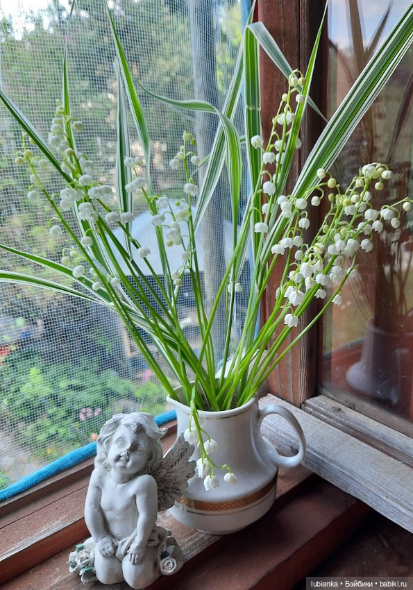 Ландышевое счастье моё🌞🌝🥰💖💚🤍 (фото 3)