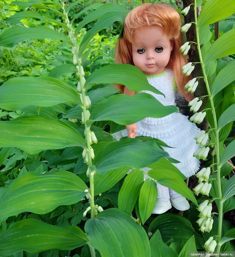 Ландышевое счастье моё🌞🌝🥰💖💚🤍