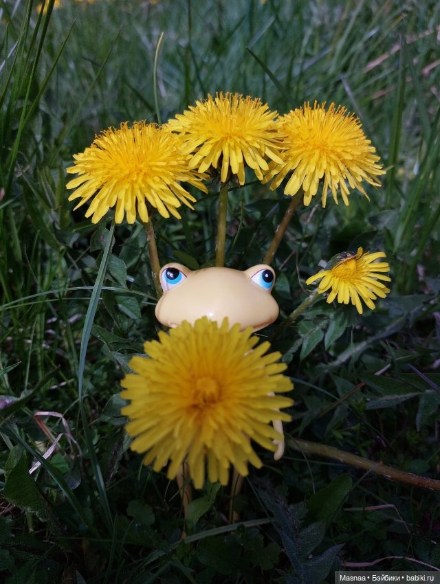 Охота длинной в полгода ❤️