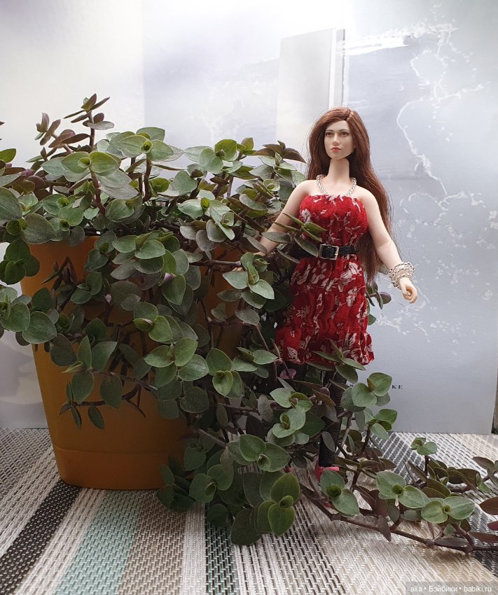 Слегка приоделись — Куклы Phicen (TBLeague/Фицен): бесшовные тела (фото 8)