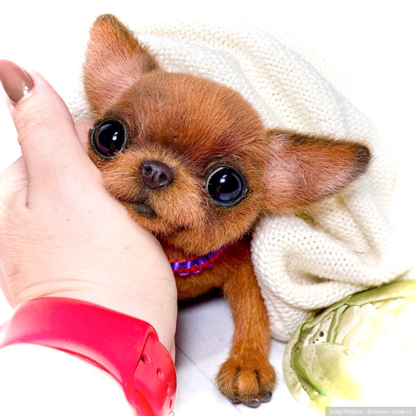 Ромис 😊🐾🐶 — Реалистичные игрушки и звери (Натюр): собаки