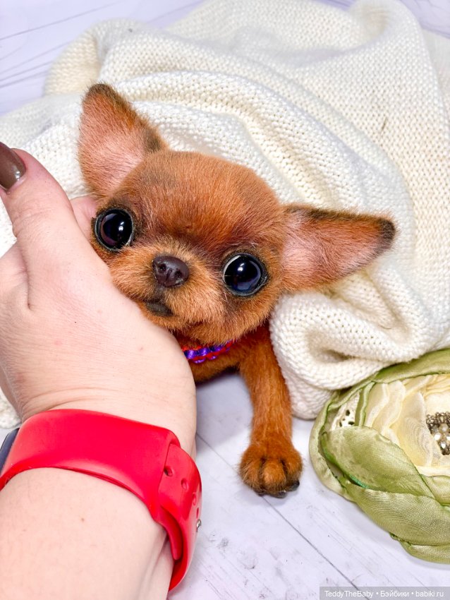 Ромис 😊🐾🐶 — Реалистичные игрушки и звери (Натюр): собаки