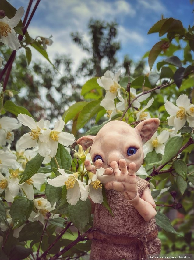 Как у наших у ворот чудушко живёт (фото 2)