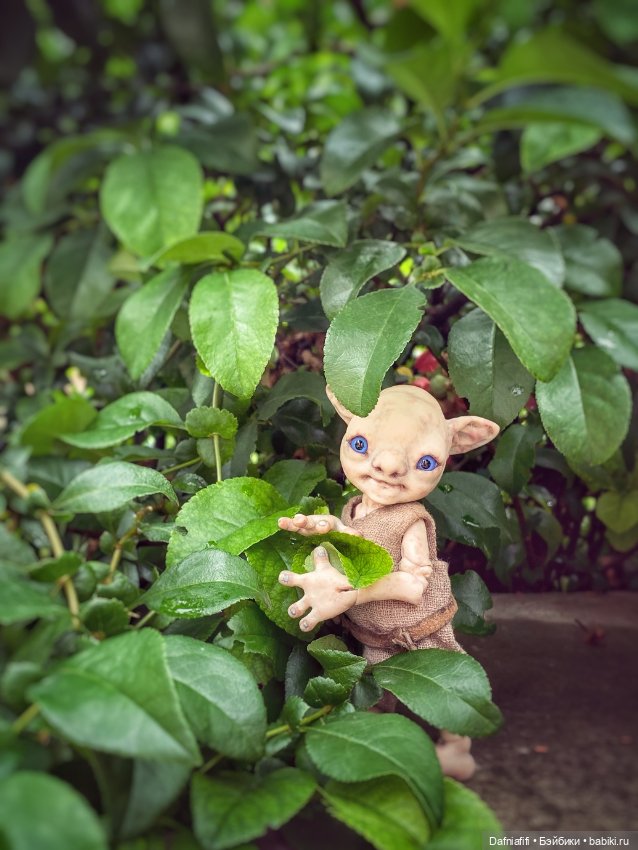 Как у наших у ворот чудушко живёт (фото 6)