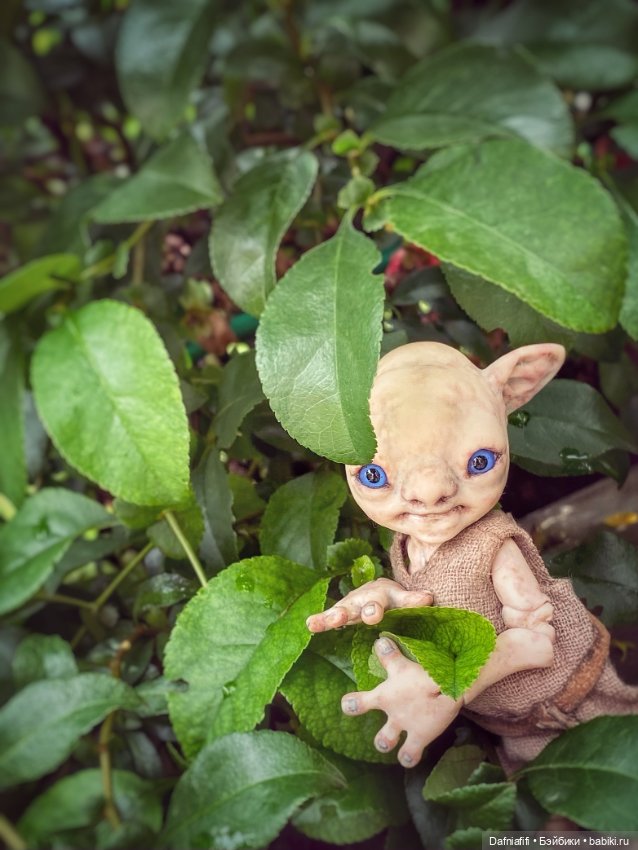 Как у наших у ворот чудушко живёт (фото 5)