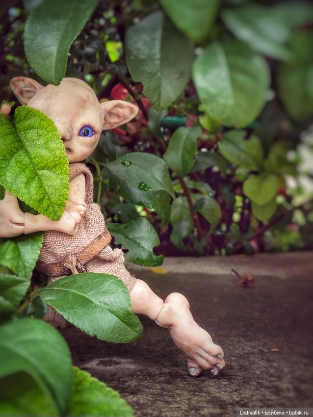 Как у наших у ворот чудушко живёт (фото 4)