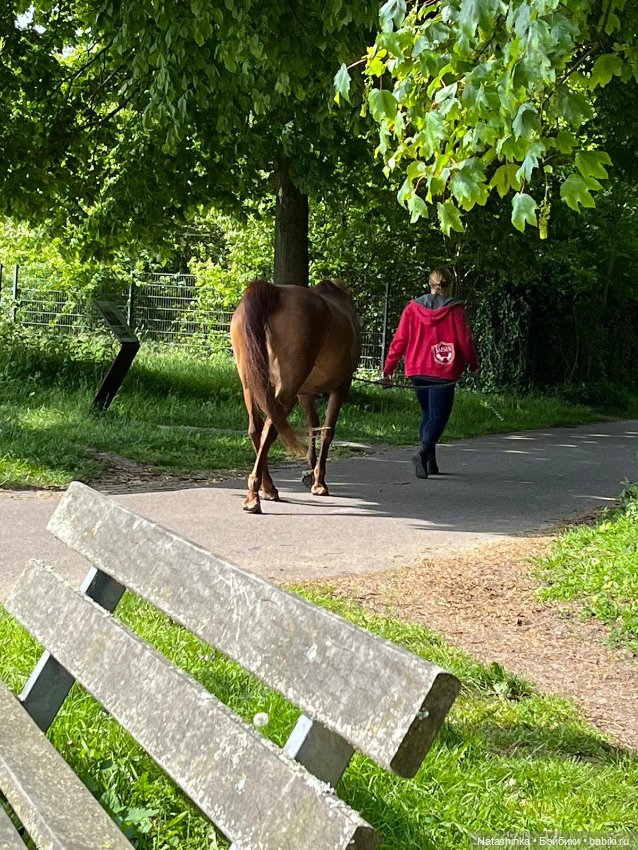 Fashion Dolls 513 — Туризм и путешествия: фотоотчеты из поездок