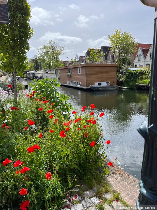 Fashion Dolls 513 — Туризм и путешествия: фотоотчеты из поездок