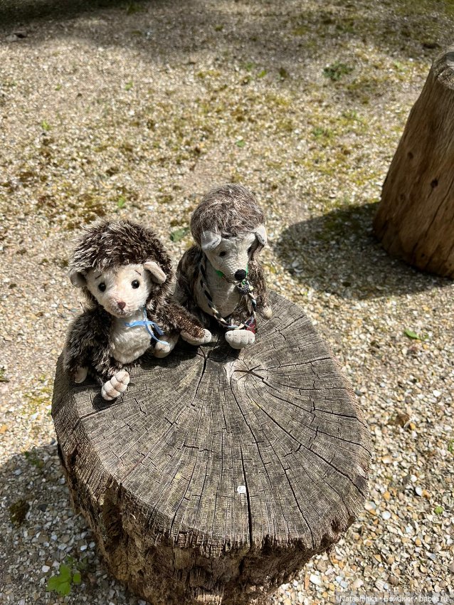 Fashion Dolls 513 — Туризм и путешествия: фотоотчеты из поездок