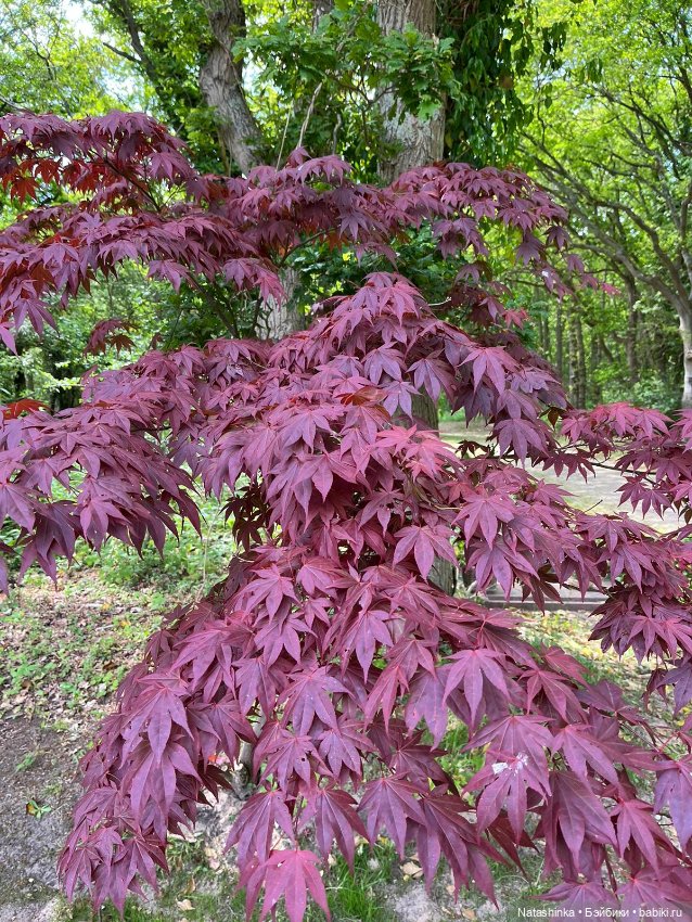 Fashion Dolls 513 — Туризм и путешествия: фотоотчеты из поездок