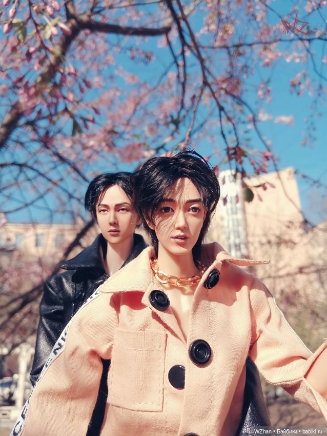 "Вишен цветы будто с небес упали" (фото 3)