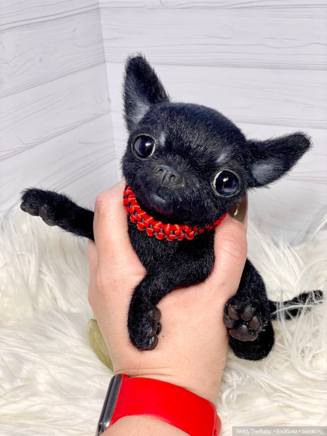 Бьюик 🐶🐾 — Реалистичные игрушки и звери (Натюр): собаки (фото 2)