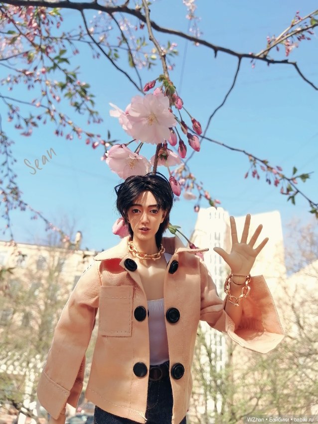 "Вишен цветы будто с небес упали" (фото 4)