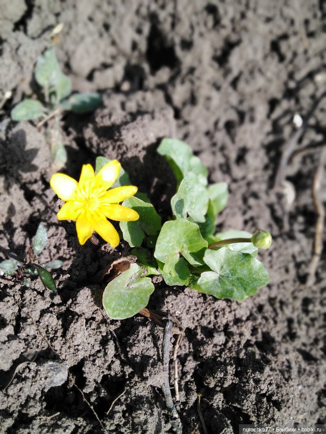 Мисс Изящность. Самая нежная куколка СССР. Генералы песчаных карьеров
