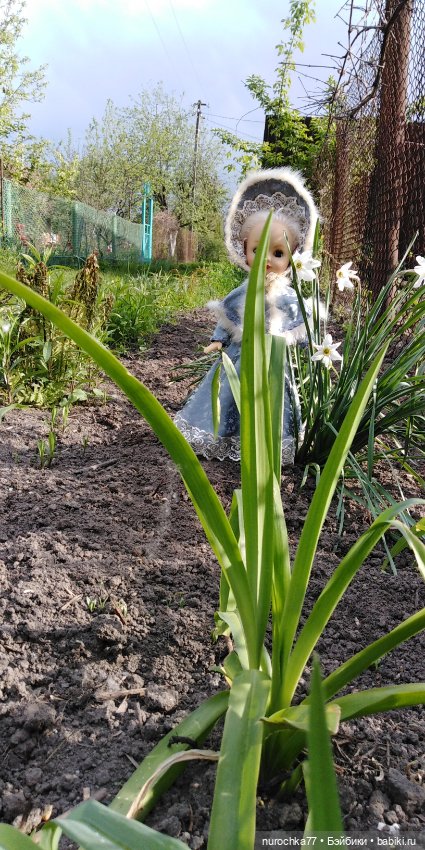 Мисс Изящность. Самая нежная куколка СССР. Генералы песчаных карьеров