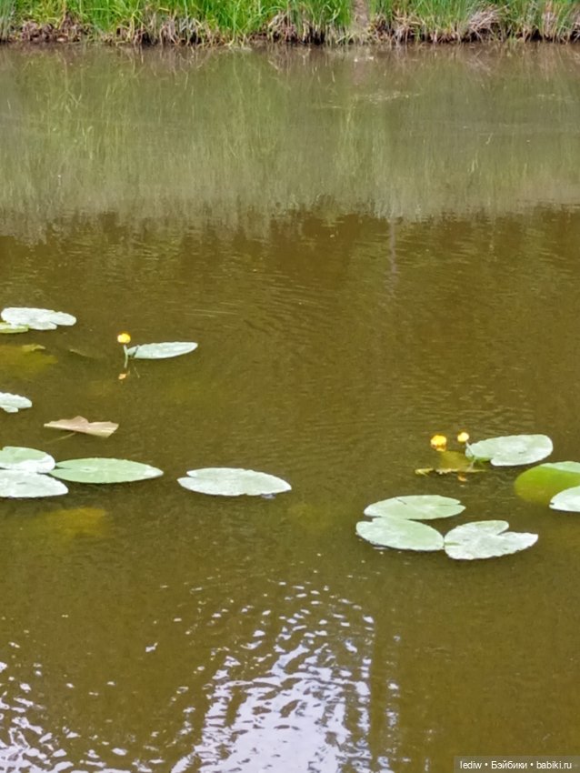 Новая жизнь старых кукол. Моника (фото 9)