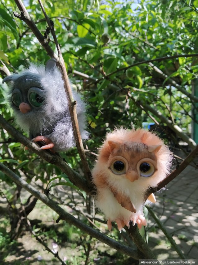 Птички🦉🦉🦉 — Домашние фото авторских игрушек: Тедди