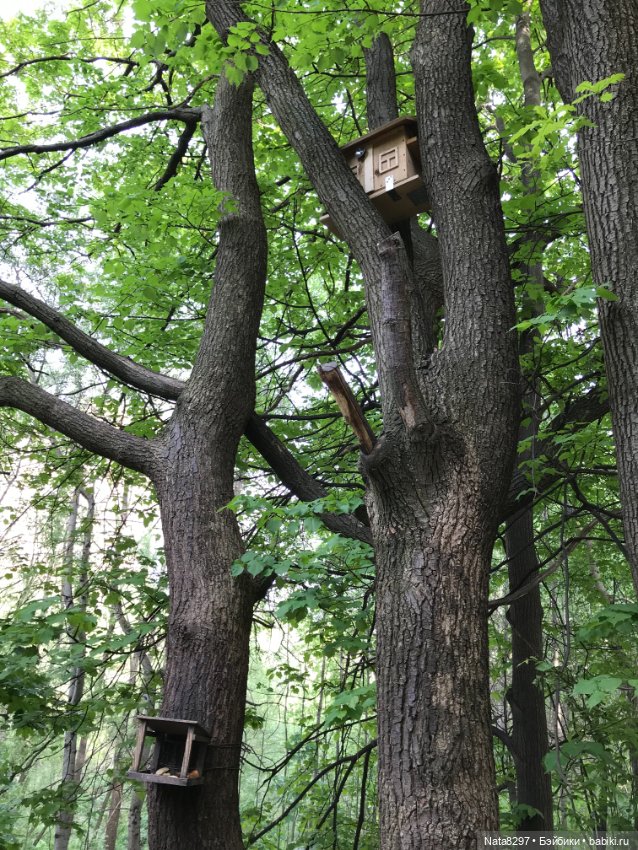 Майские прогулки с Плюшечками. Часть 1. Карли от Heidi Plusczok