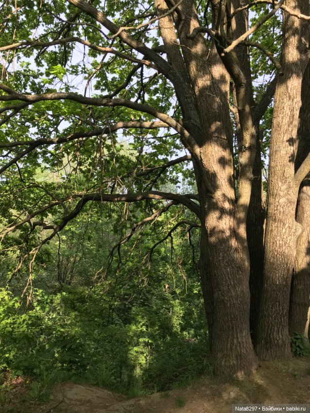 Майские прогулки с Плюшечками. Часть 1. Карли от Heidi Plusczok