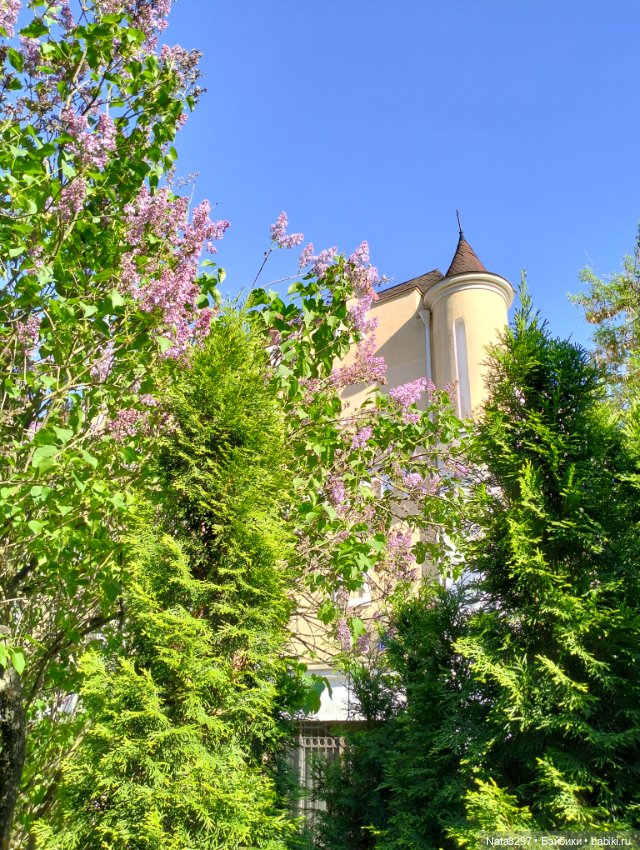 Майские прогулки с Плюшечками. Часть 2. Лидия от Heidi Plusczok