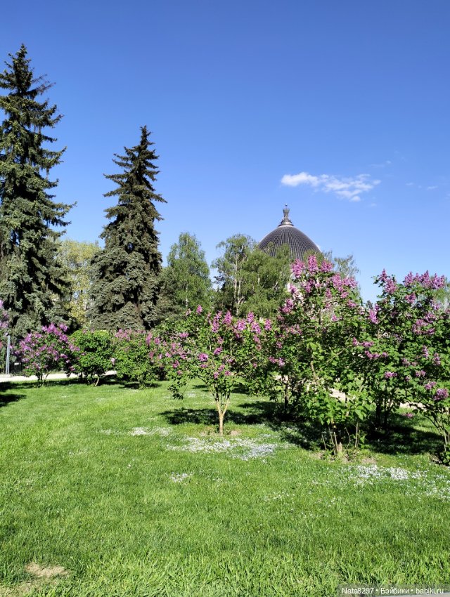 Майские прогулки с Плюшечками. Часть 2. Лидия от Heidi Plusczok