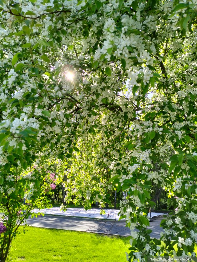 Майские прогулки с Плюшечками. Часть 2. Лидия от Heidi Plusczok