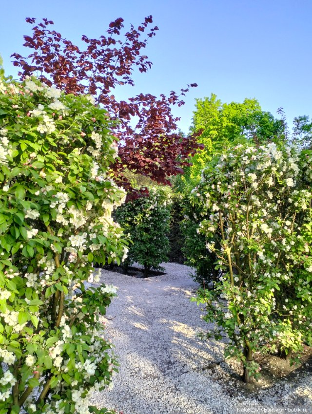 Майские прогулки с Плюшечками. Часть 2. Лидия от Heidi Plusczok