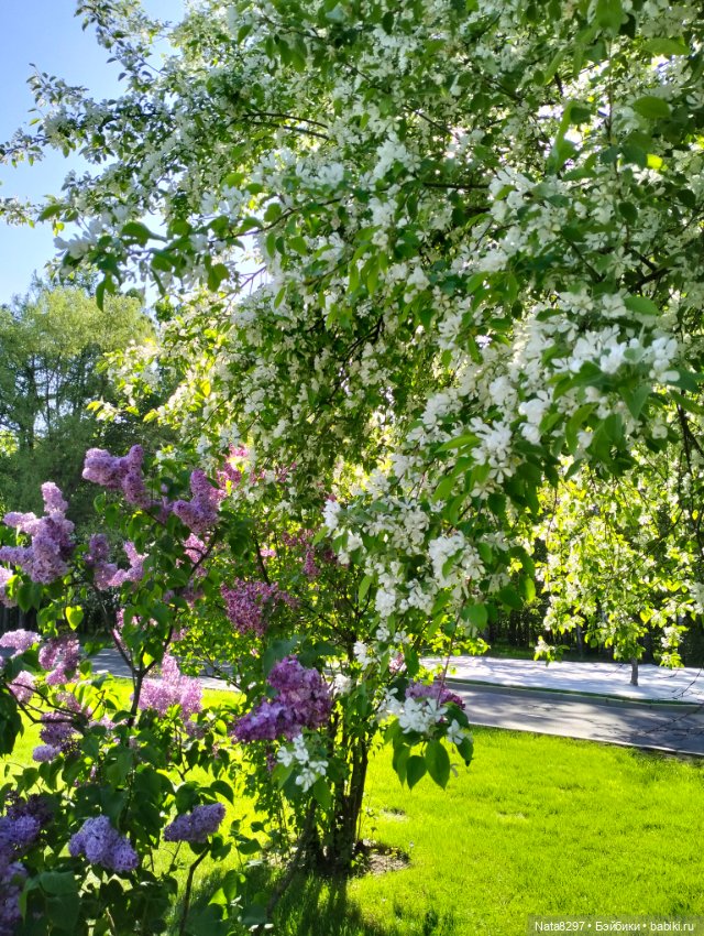 Майские прогулки с Плюшечками. Часть 2. Лидия от Heidi Plusczok