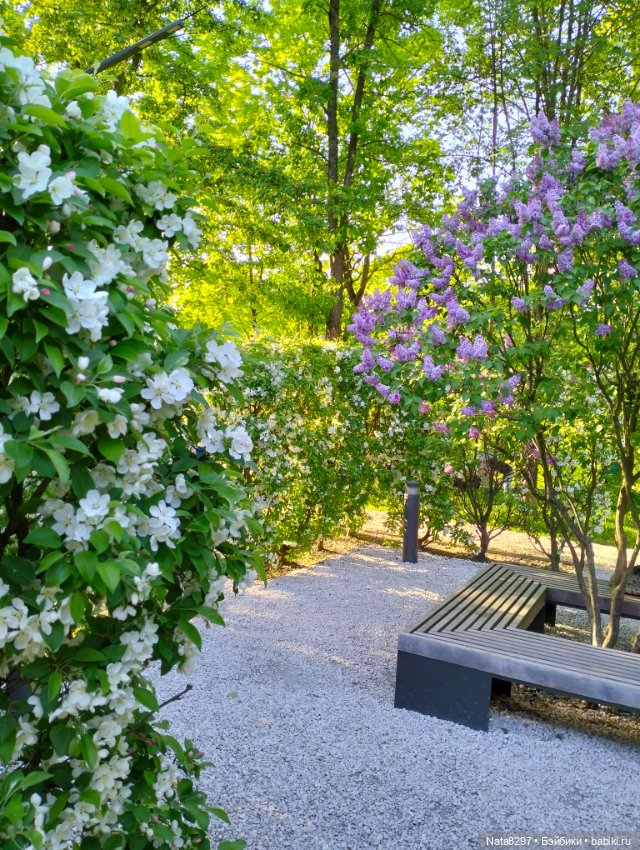 Майские прогулки с Плюшечками. Часть 2. Лидия от Heidi Plusczok