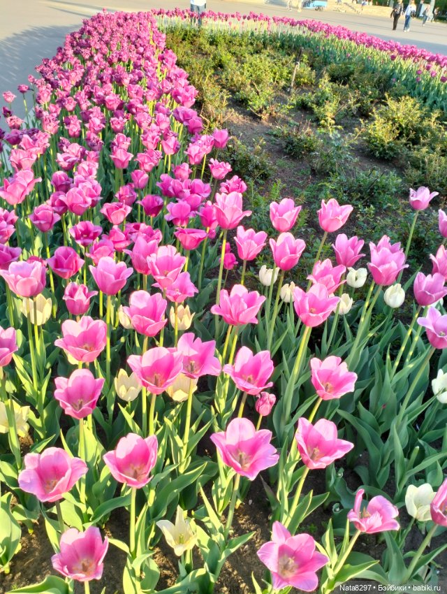 Майские прогулки с Плюшечками. Часть 2. Лидия от Heidi Plusczok